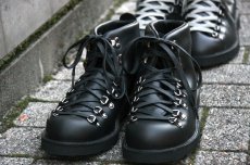 画像3: DANNER MOUNTAIN LIGHT　wings＋horns (3)