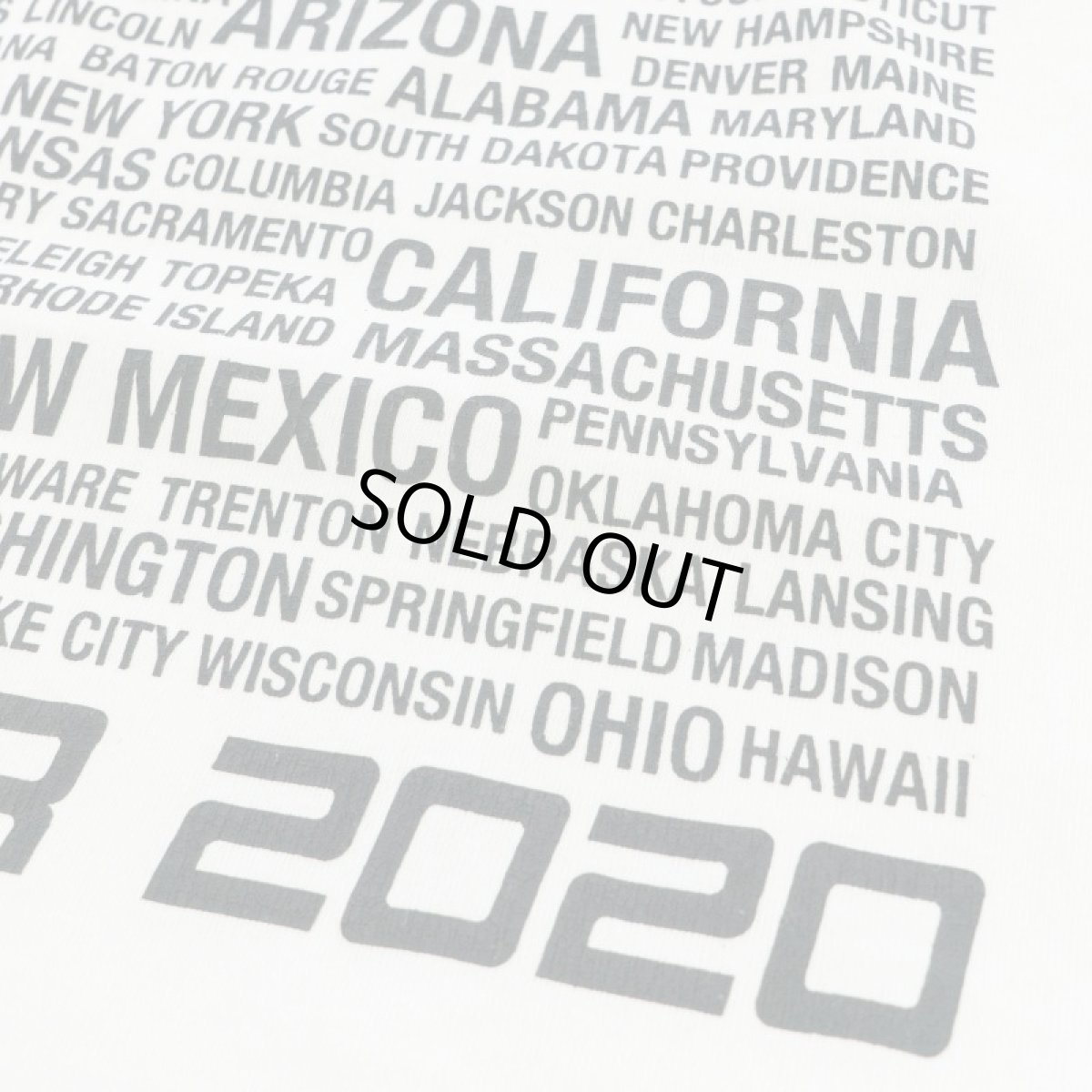 画像6: VARDE77 BUYING TOUR T-SHIRTS WHITE (6)