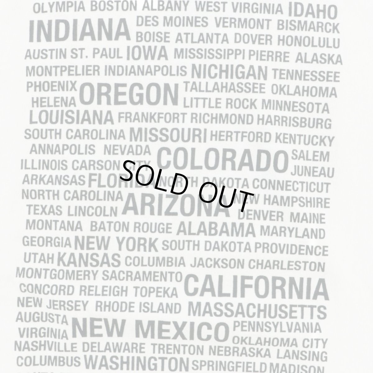 画像5: VARDE77 BUYING TOUR T-SHIRTS WHITE (5)