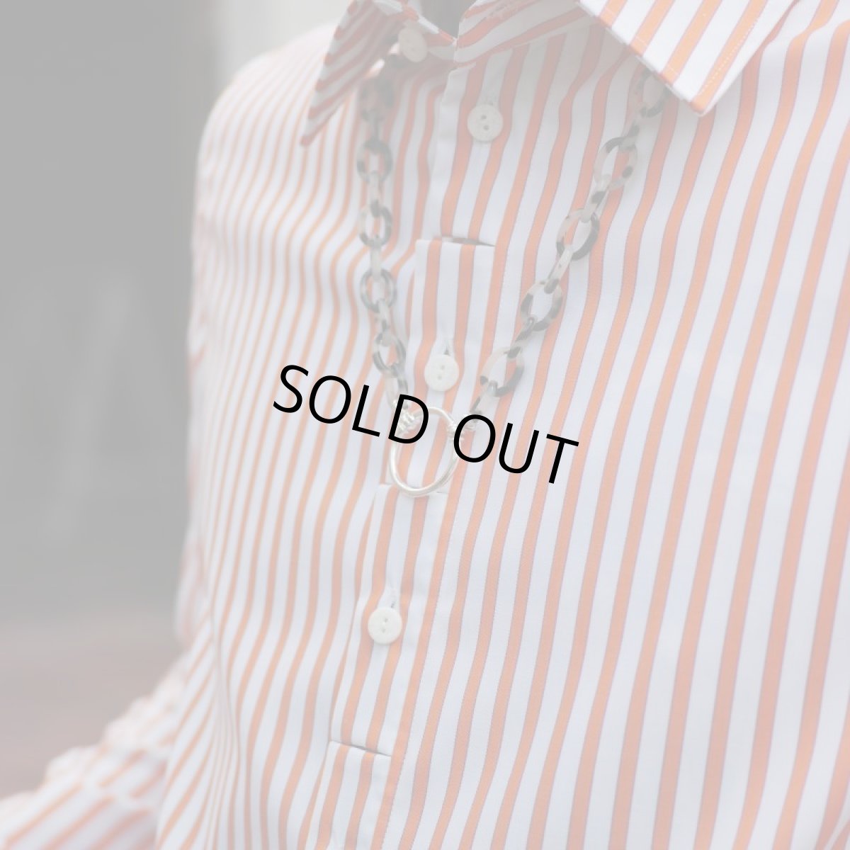 画像10: ACETATE/STARRING SILVER JEWELRY ANIMAL (10)