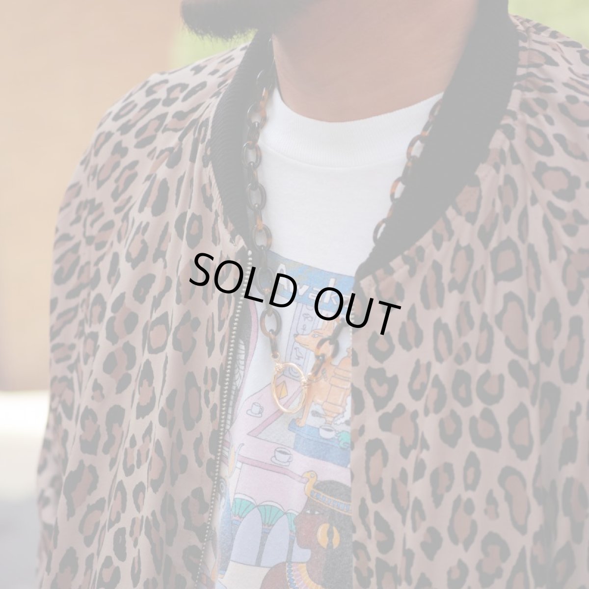 画像9: ACETATE/18K GOLD JEWELRY TORTOISE (9)