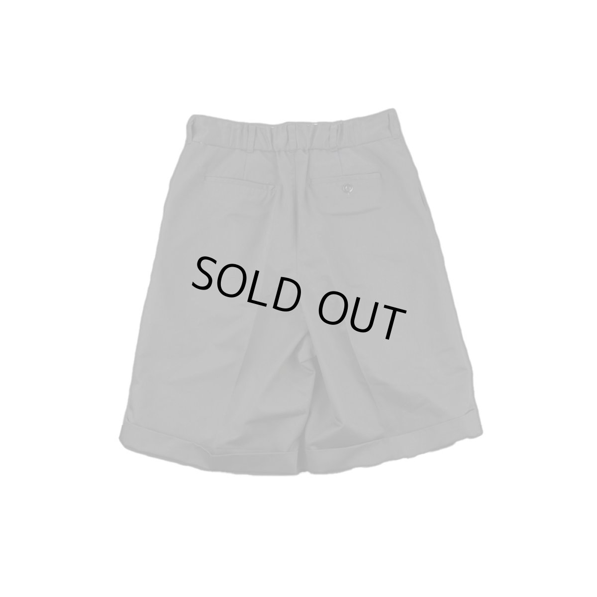 画像2: BIG CHINO SHORTS (2)