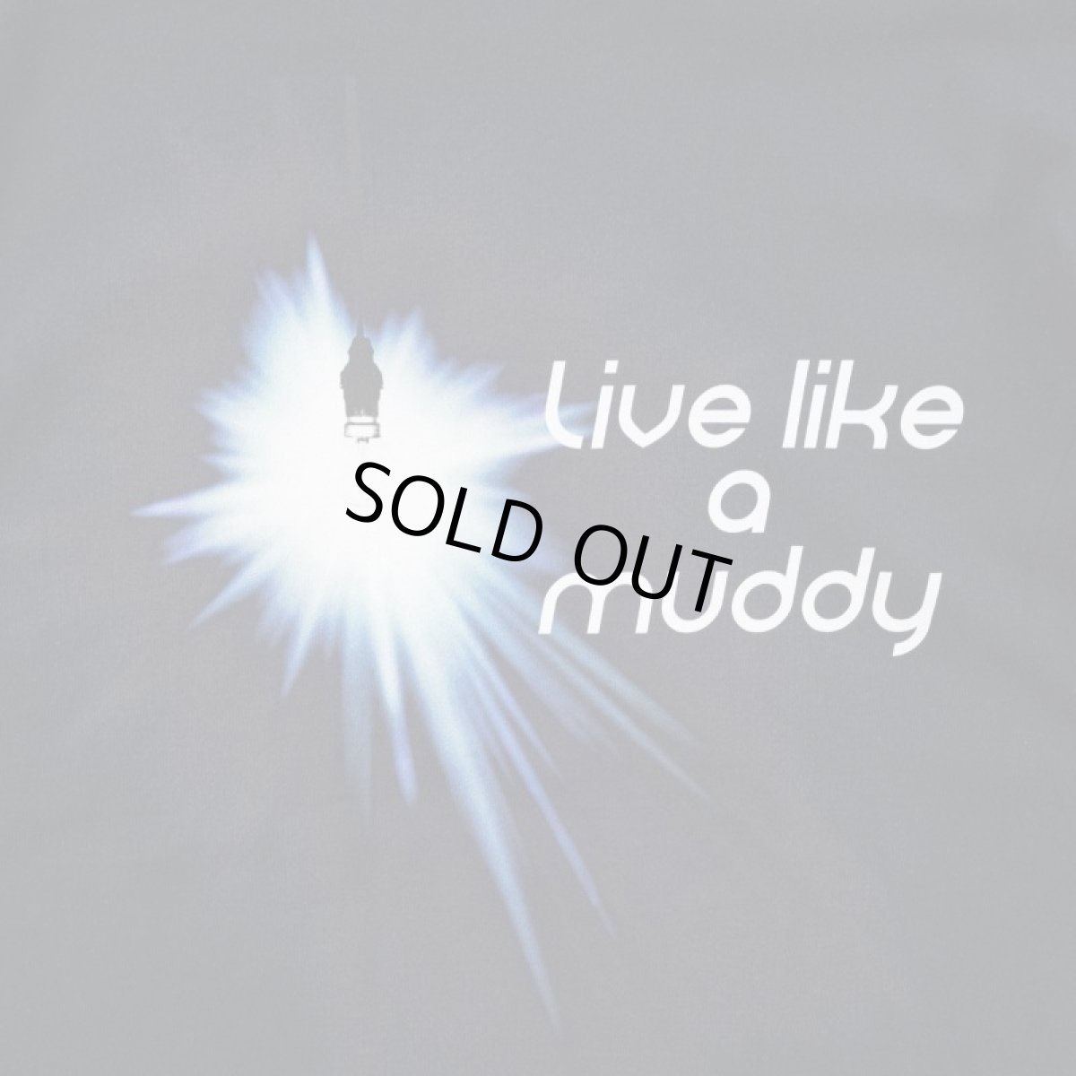 画像3: "LIGHT! T-SHIRTS (3)